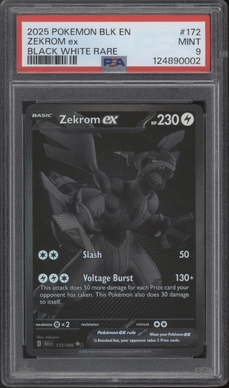 collectorstore172177