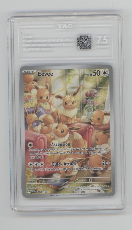 collectorstore173885