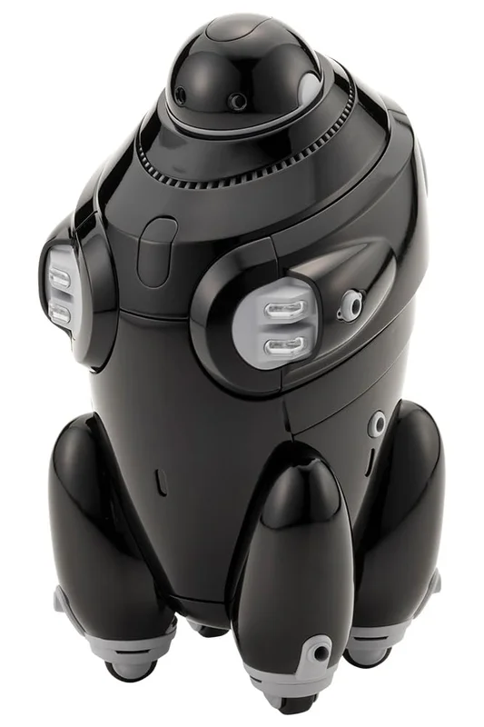 japan-figure160031