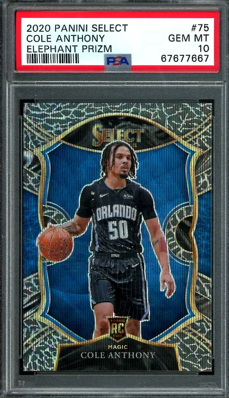 tradingcardmarket2811316