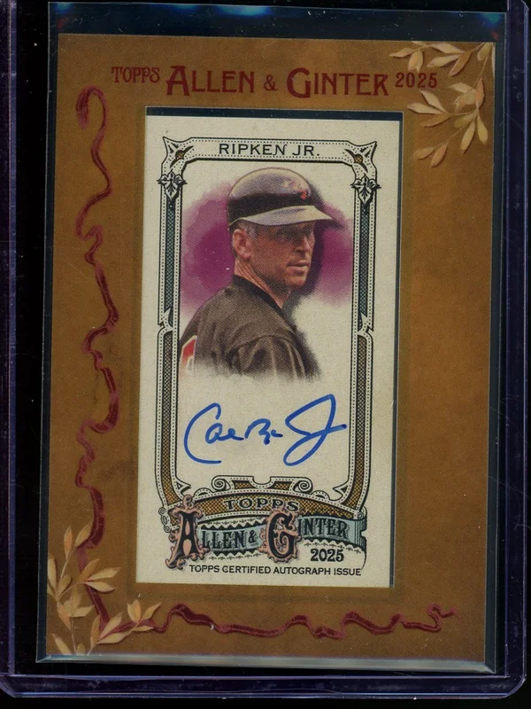 tradingcardmarket2930704