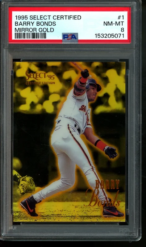 tradingcardmarket2953006